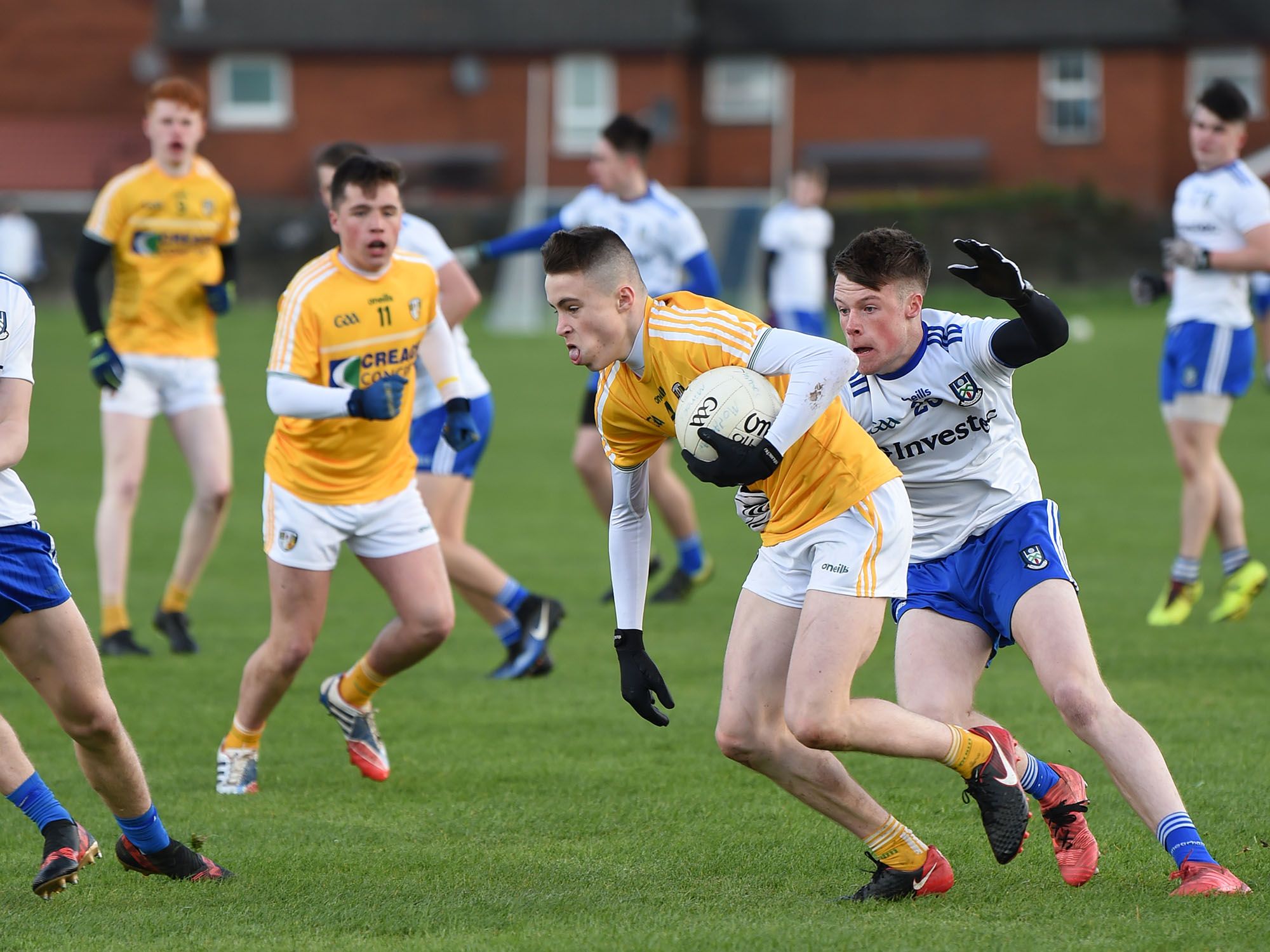 Farney fixture put on hold for young Saffrons