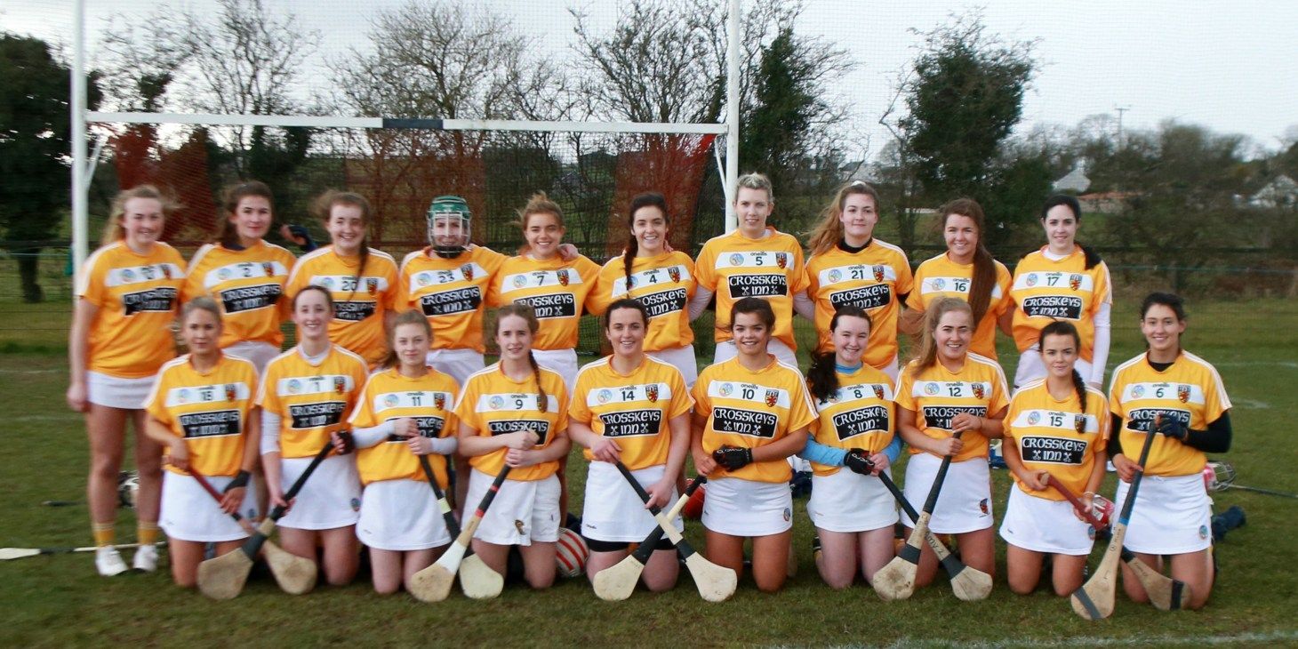 The Antrim camogie team that defeated Tipperary back in March 
