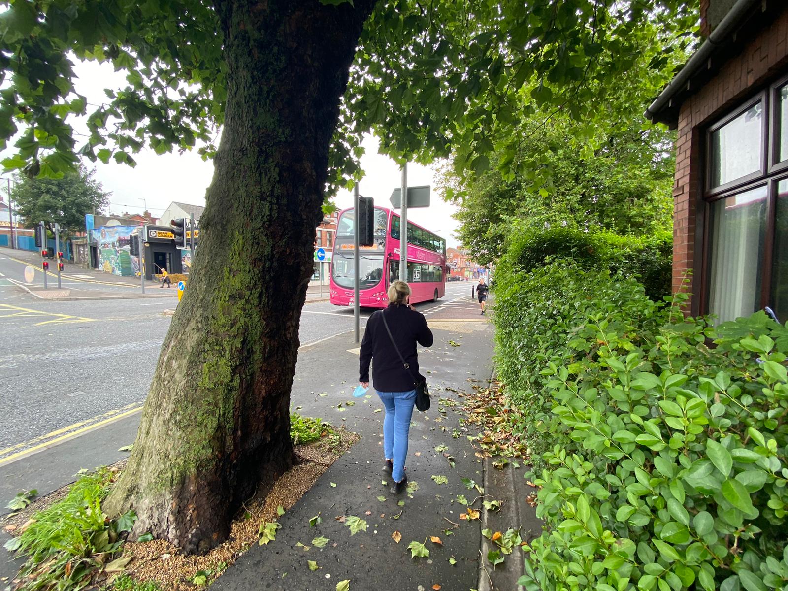 LIVING HISTORY: One of the trees near James Connolly\'s Falls Road home