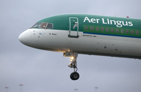 UP FOR GRABS: Aer Lingus has put two grounded, long-range Airbus A321 craft at Shannon out for bids from regional airports