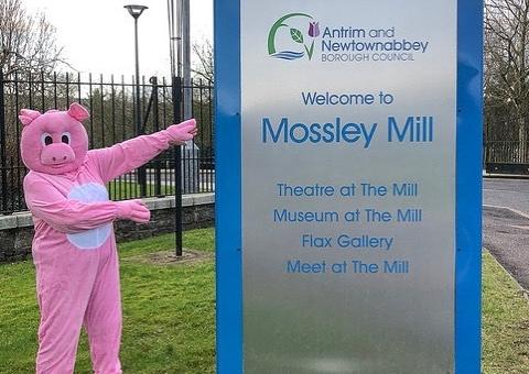 CAMPAIGN: A protestor at Antrim and Newtownabbey Council buildings at Mossley Mill  