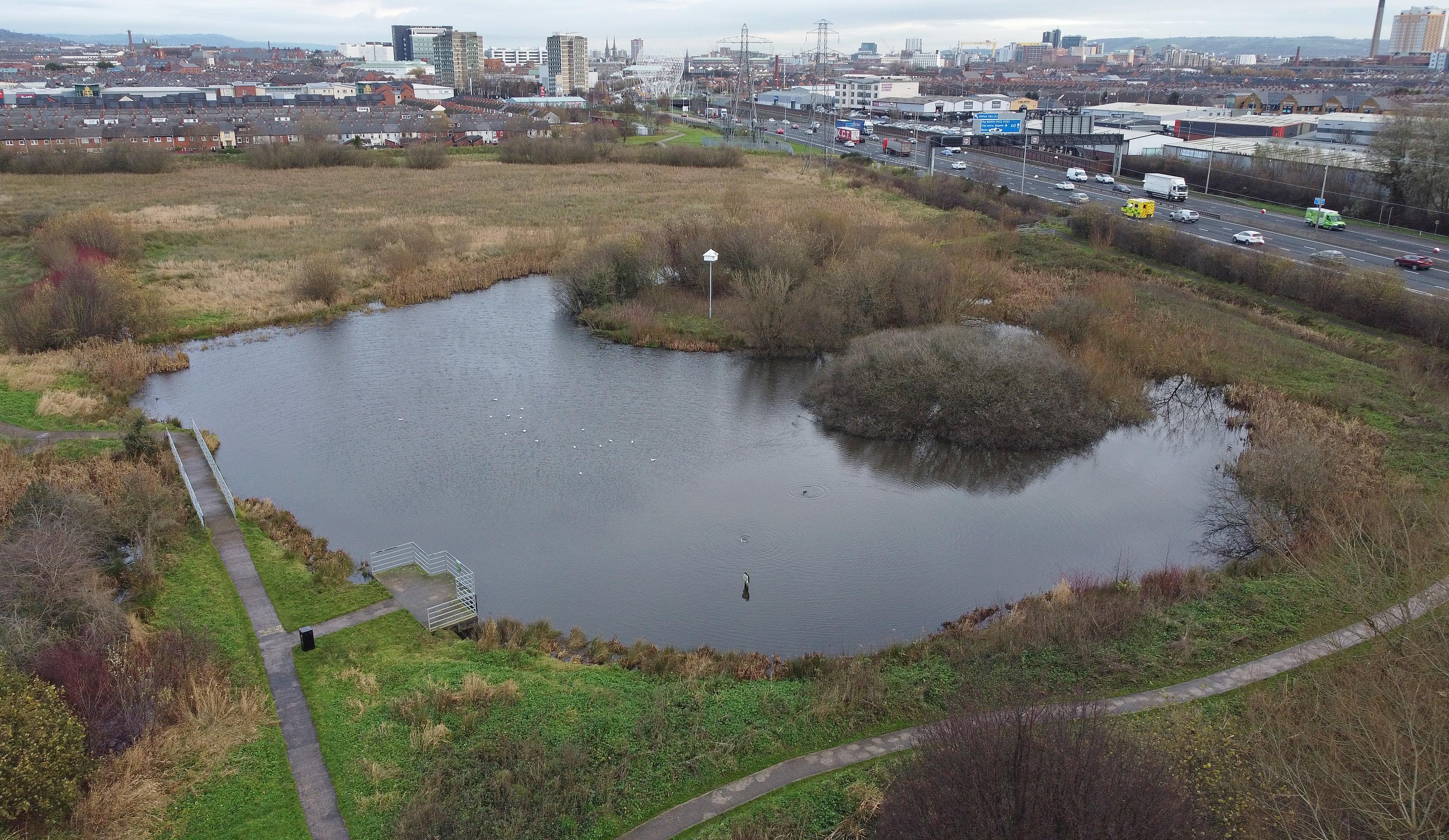 CITY OASIS: The pond at the Bog Meadows