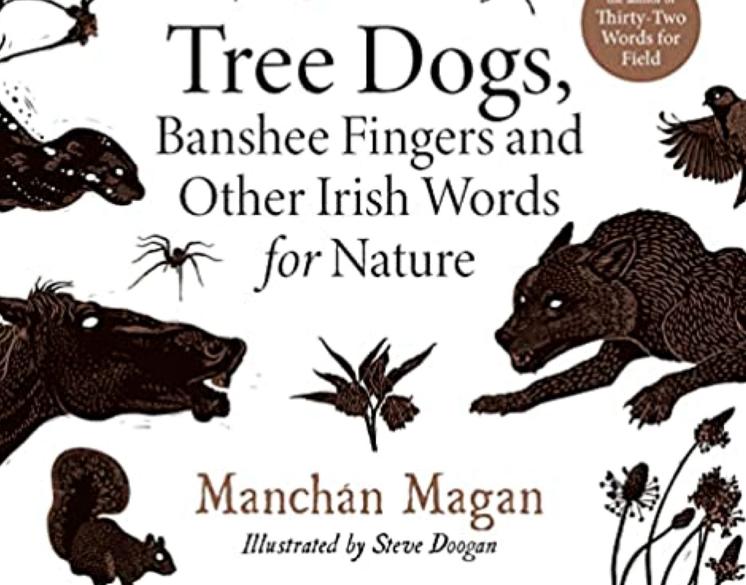 DRAWING A PICTURE: The lyrical language of our forebears told a beautiful story not only of the nature around them, but of their relationship to it; all is revealed in a lovely new book by Manchán Mangan