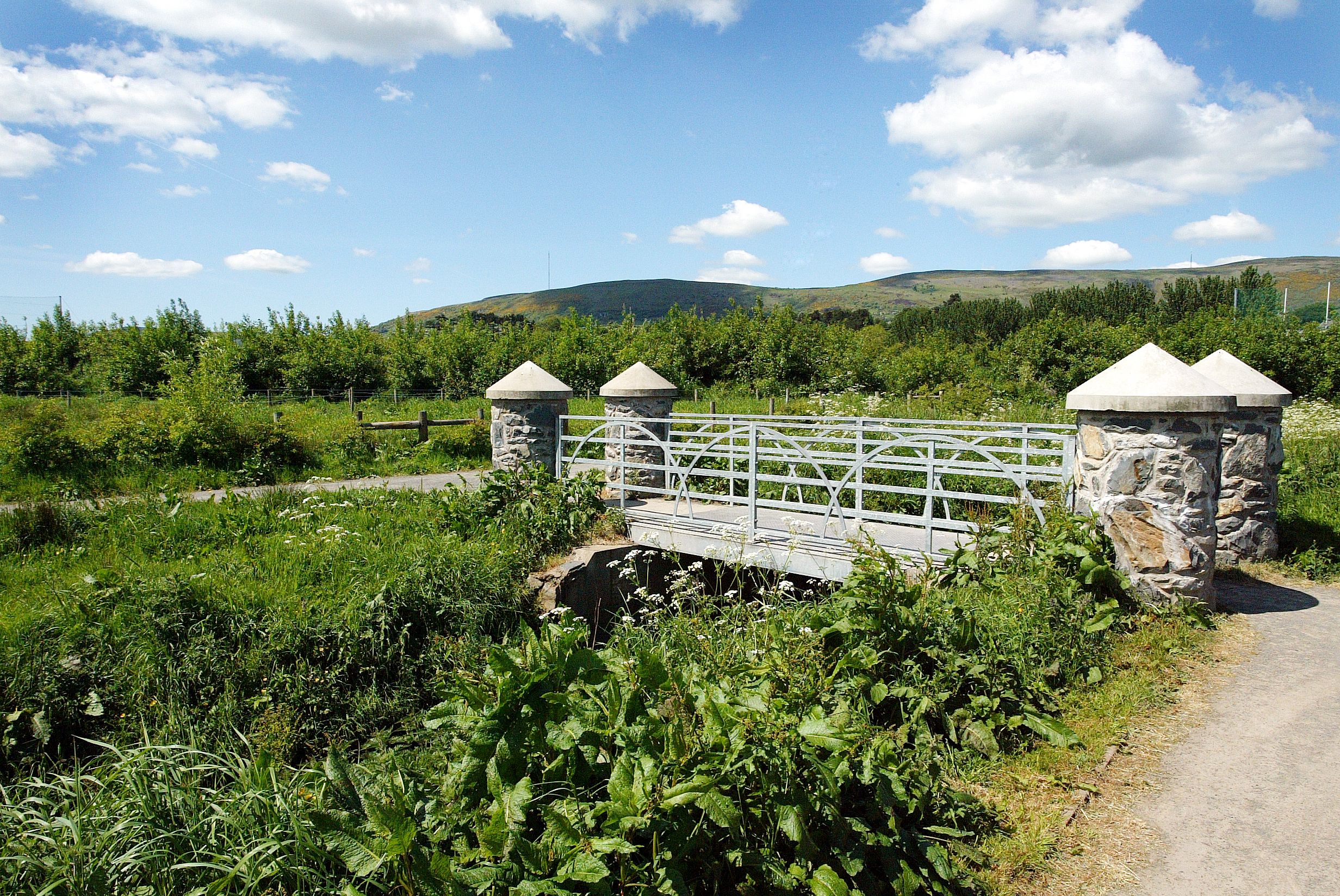 UPGRADE: The approved proposals will see cycle and foot paths within the nature reserve upgraded along with new lighting and street furniture 