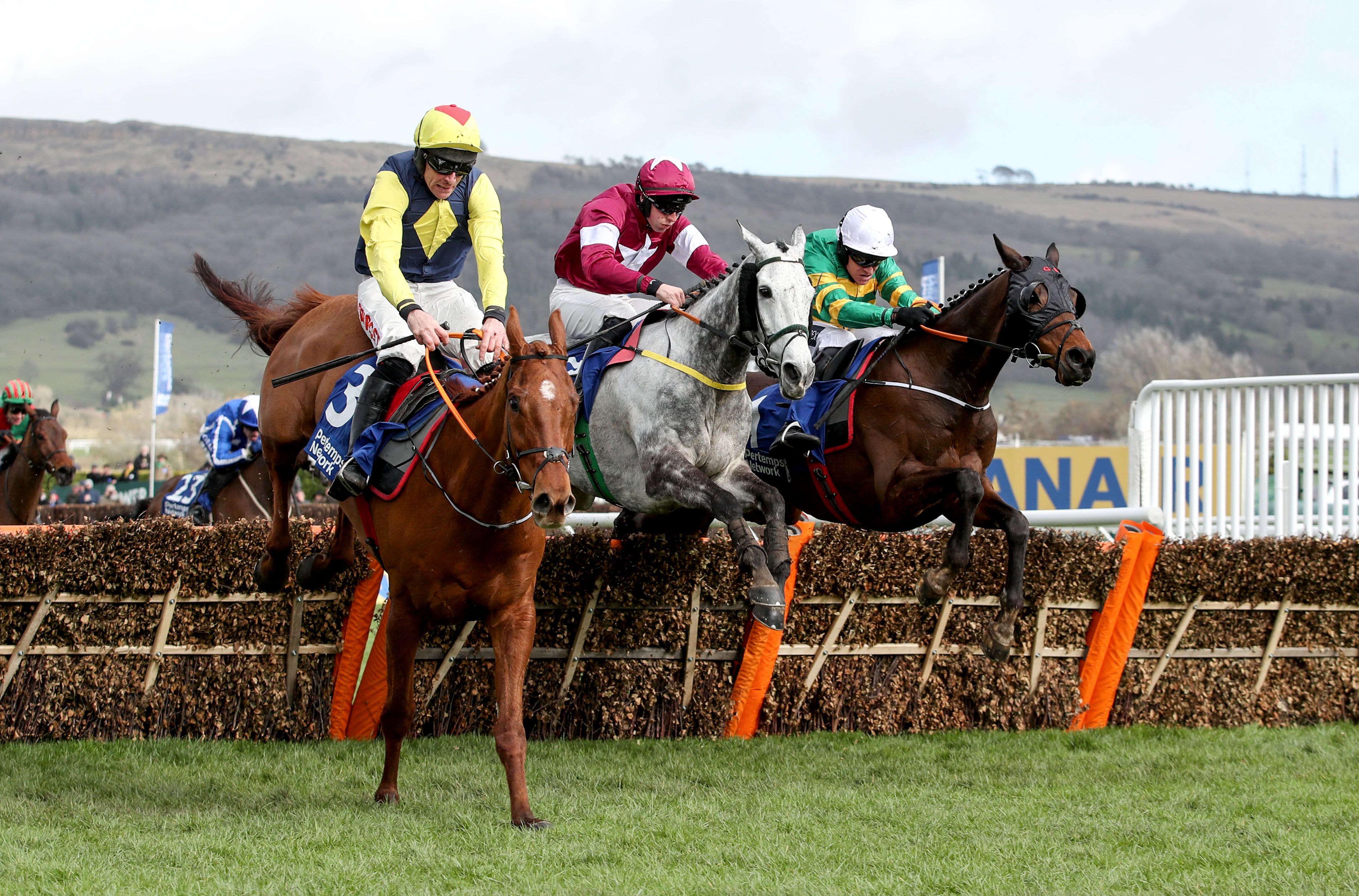 The Storyteller (far left) was second in last year\'s Pertemps Hurdle, but can upset Paisley Park in the Stayers\' Hurdle on Thursday