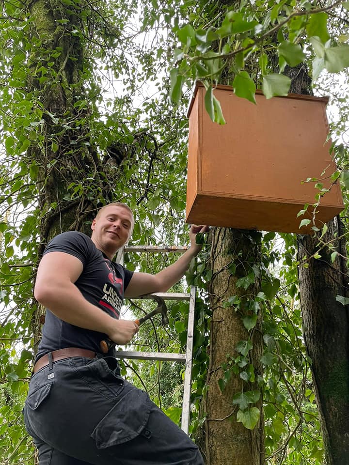 TAKING THE LEAD: Conservationist Aaron Kelly puts up a pine marten box