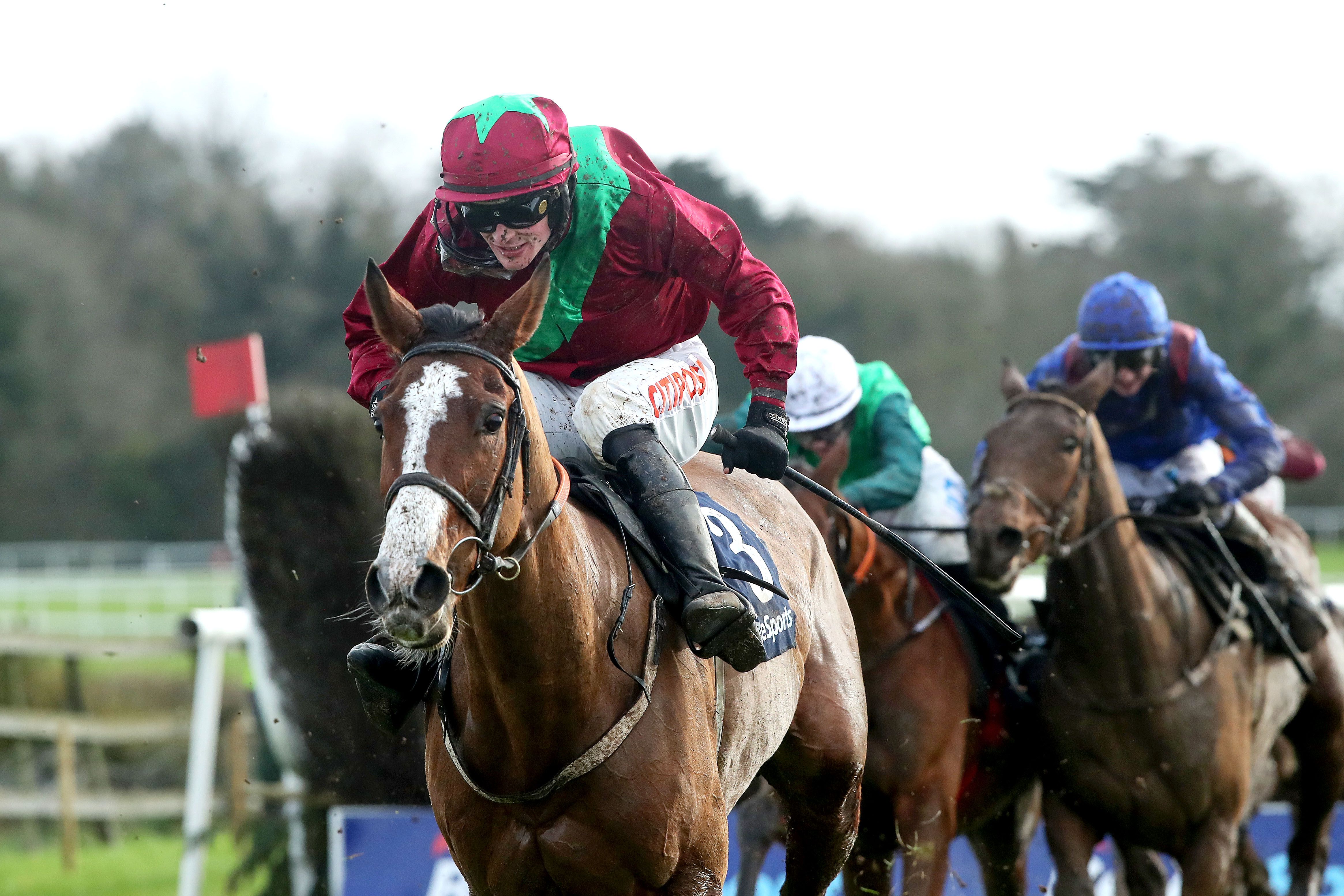 Agusta Gold (10/1) can land the Irish Grand National at Fairyhouse for Willie Mullins and Danny Mullins