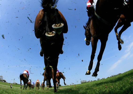 Grand National 2021: Runner-by-runner guide