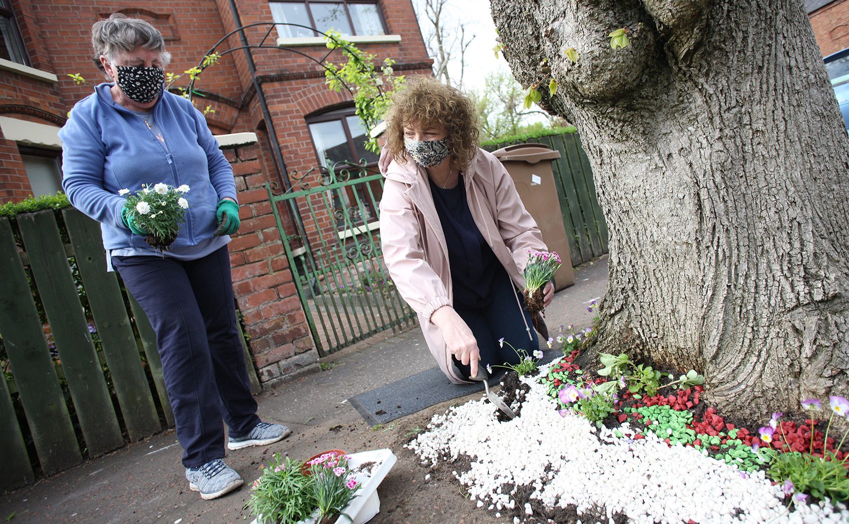 BLOOMING SUCCESS: Nuala Stroud (left) joins North Belfast MLA Carál Ní Chuilín to bring a splash of colour to Cardigan Drive. 