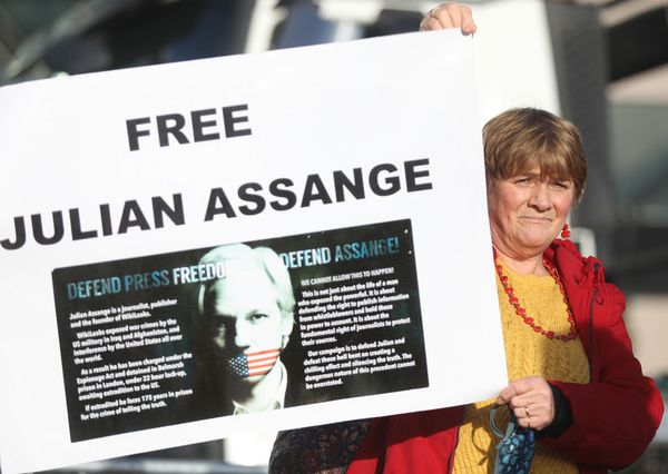 HOSTAGE: Anne Conway, head of the Free Assange Ireland Campaign, at a protest outside the Dáil in December of last year. 24 TDs have opposed extradition of Mr Assange to the US. 