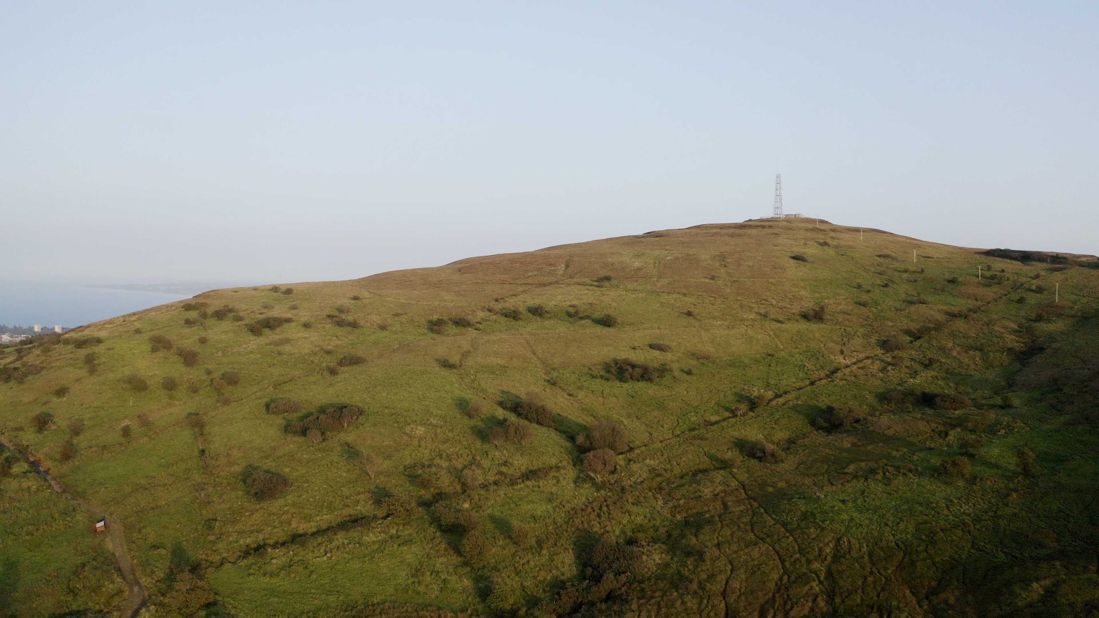 NAME: The new Woodland Trust site beside Cave Hill 