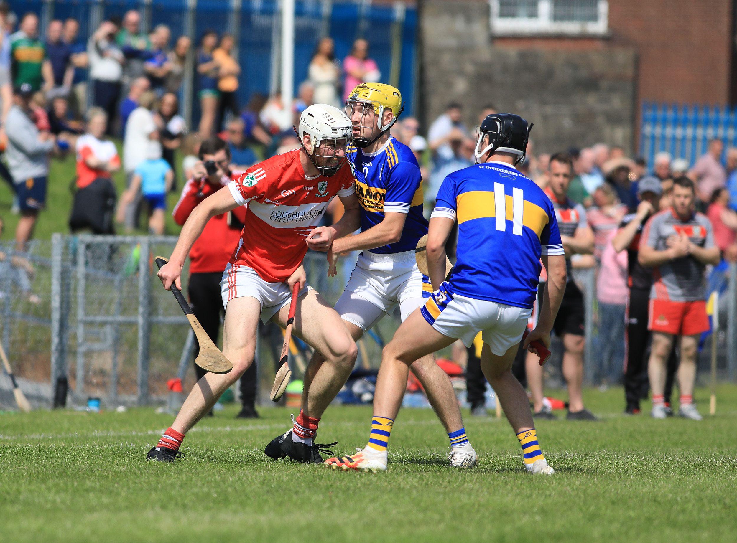 Action from Rossa Park on Sunday 