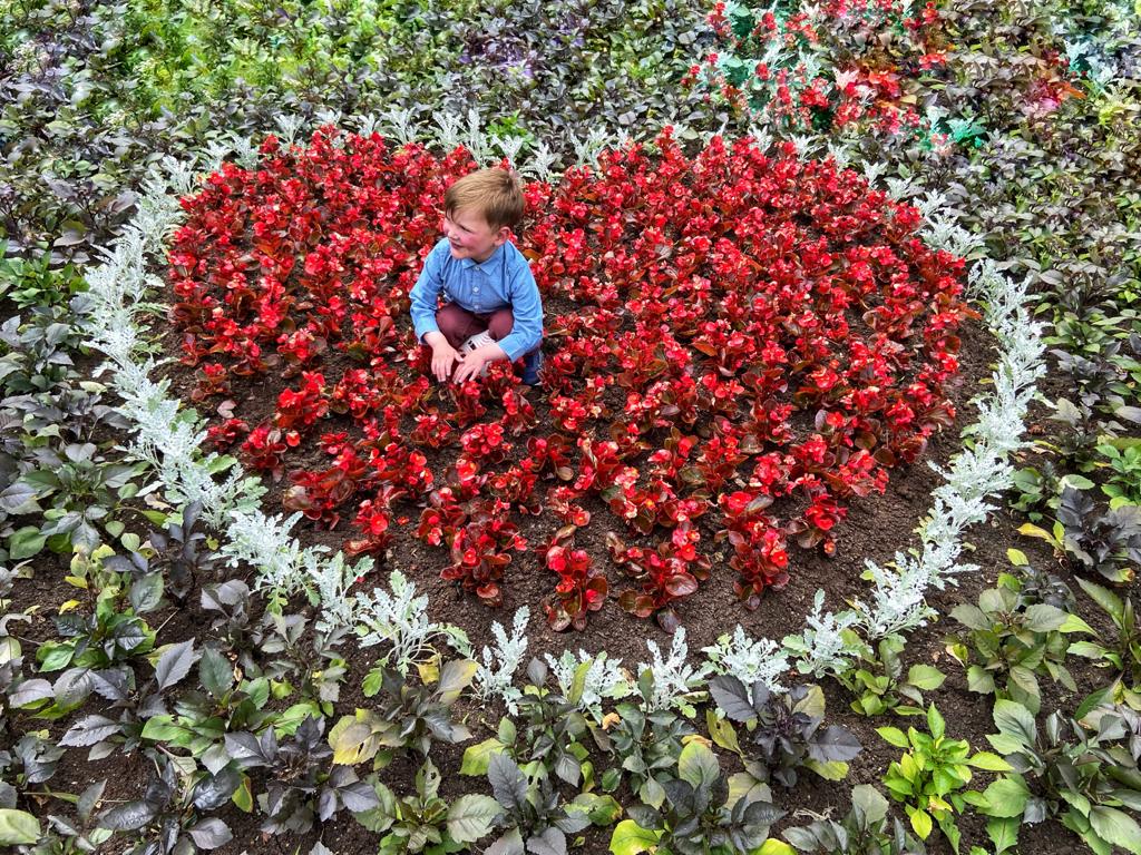 IN GOOD COMPANY: Dáithí MacGabhann checks out the new organ donation flower display at the Falls Park