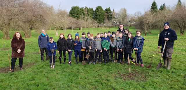Musgrave tree project bearing fruit
