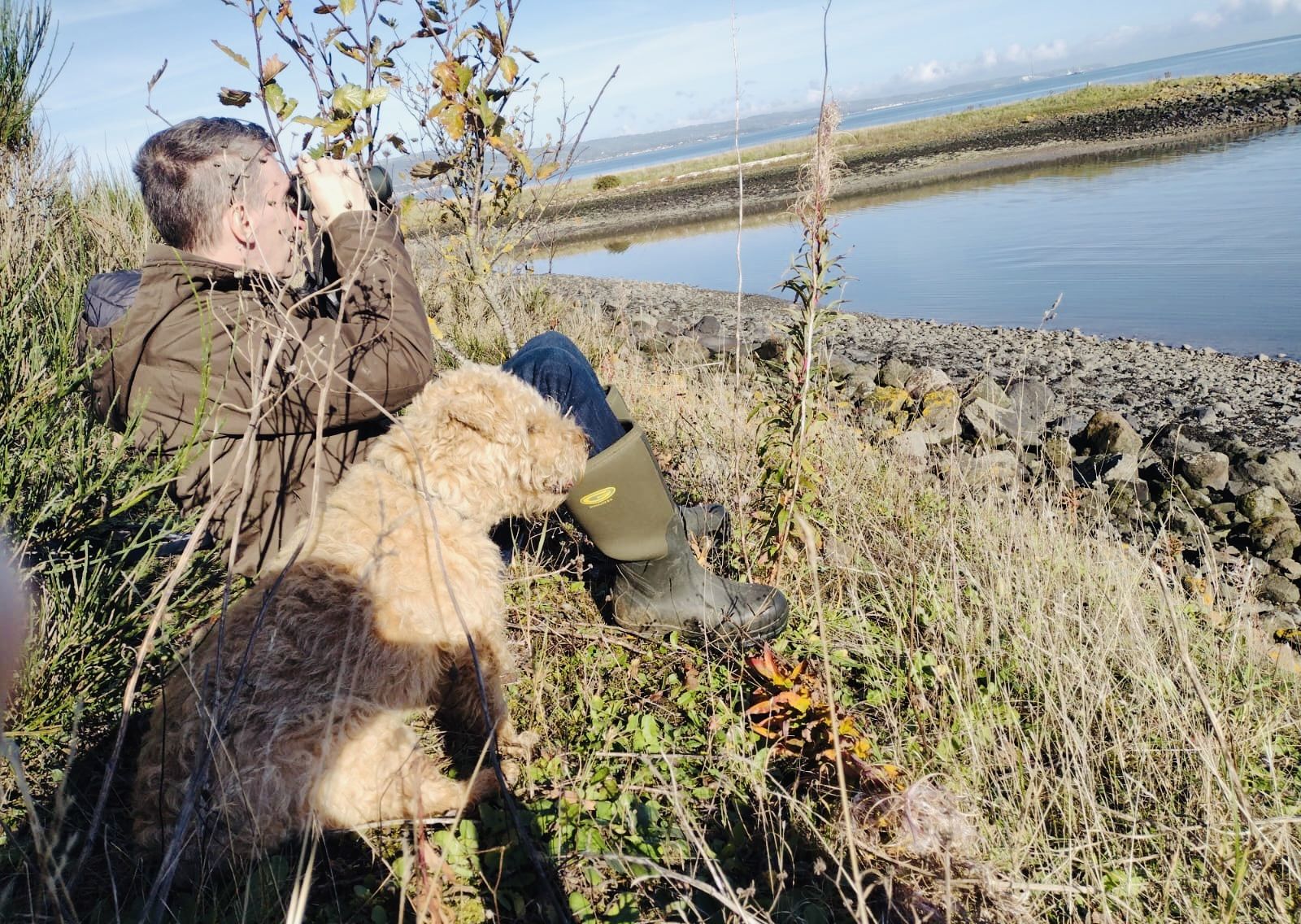 COMPANIONS: Mac the Lakeland terrier keeps Dúlra company as together they scan the waders on Belfast Lough; below, Dúlra’s trophies – the goldfinch’s nest (left) and possibly a meadow pipit’s