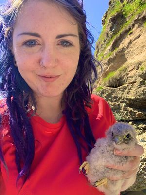 DÚLRA: Kez – a kestrel-loving passion shines bright