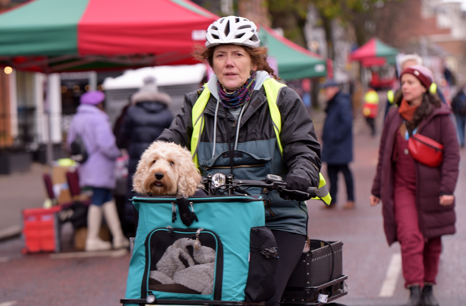 ON YOUR BIKE: A cyclist and her dog enjoying the car-free Botanic Avenue during the Open Botanic Festival.