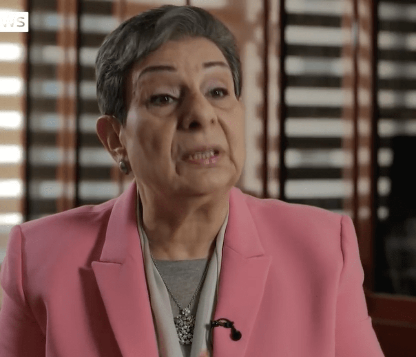 WARNING: Hanan Ashrawi is a passionate advocate of Palestinian rights