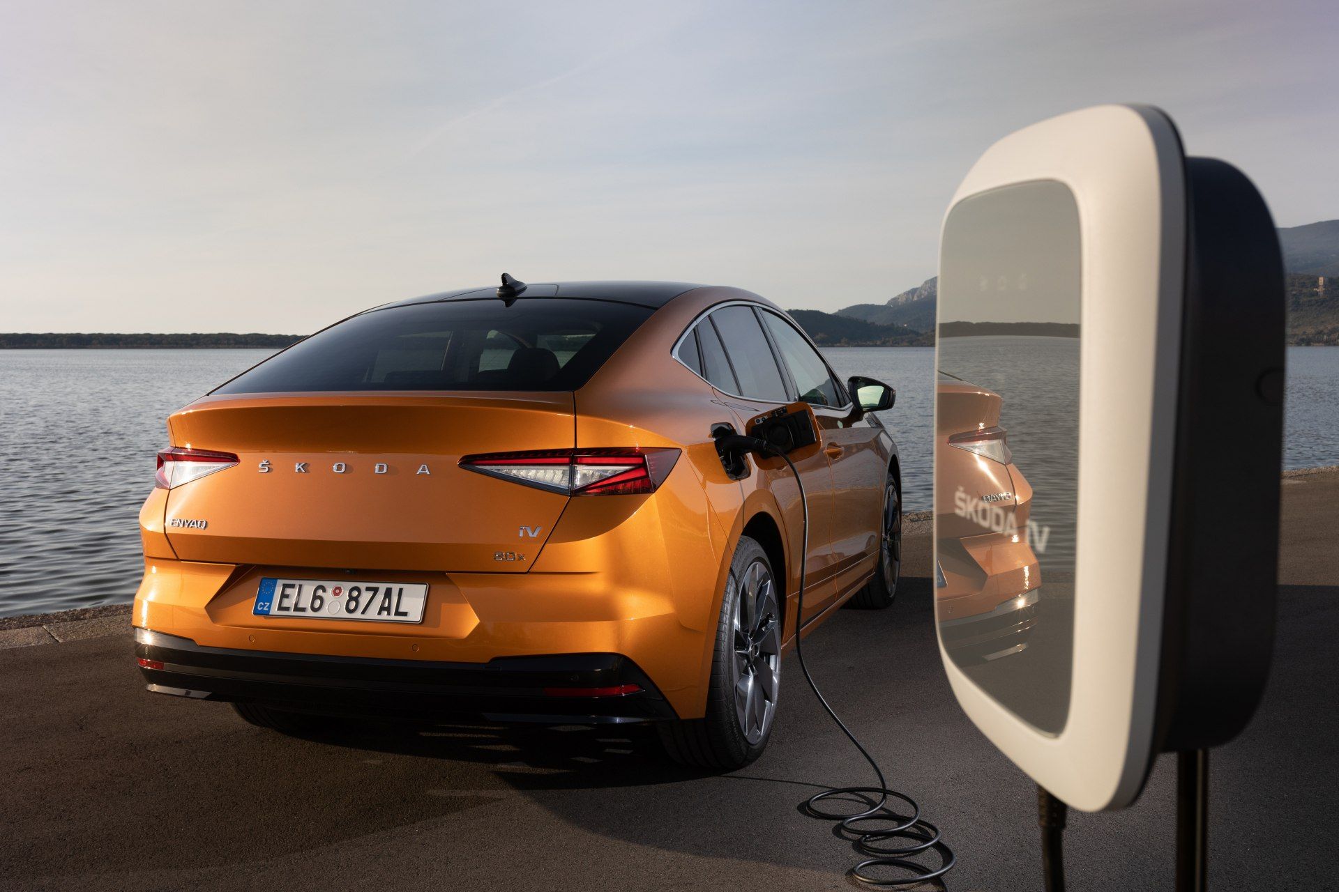 VITAL SPARK: Electric vehicles continued their inexorable rise