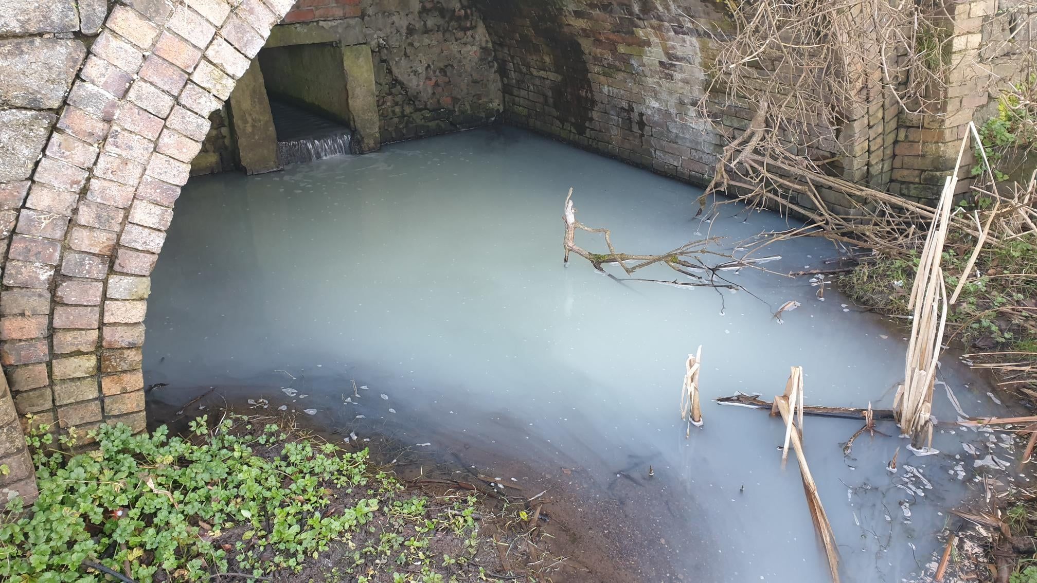 SUSPECTED WATER POLLUTION: The upper lake in the Waterworks