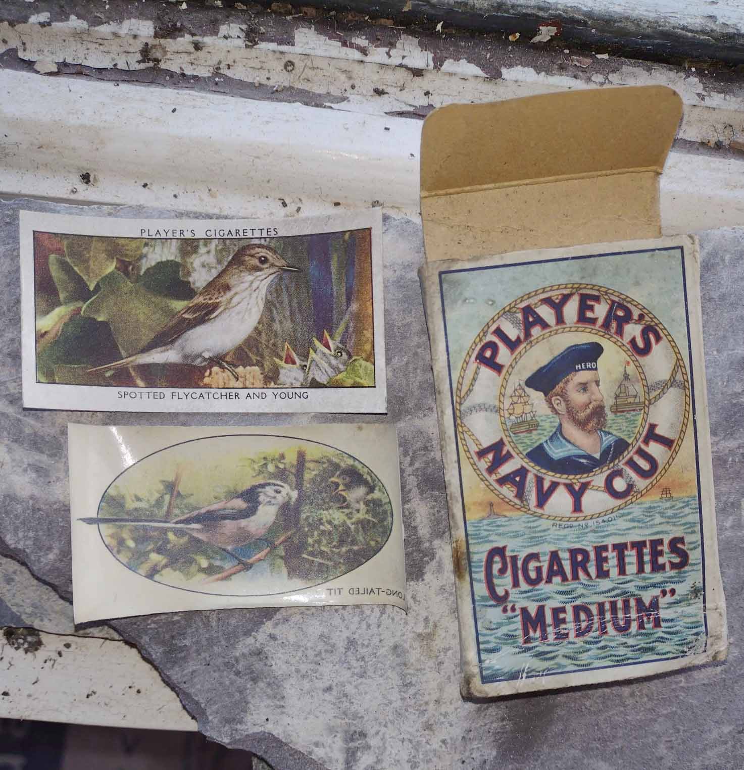 FIND: The pack of 10 cigarettes and enclosed cards have lain under the floorboards of a North Belfast home for 85 years; Dúlra was so charmed by the images that he’s thinking of buying the brochure, below