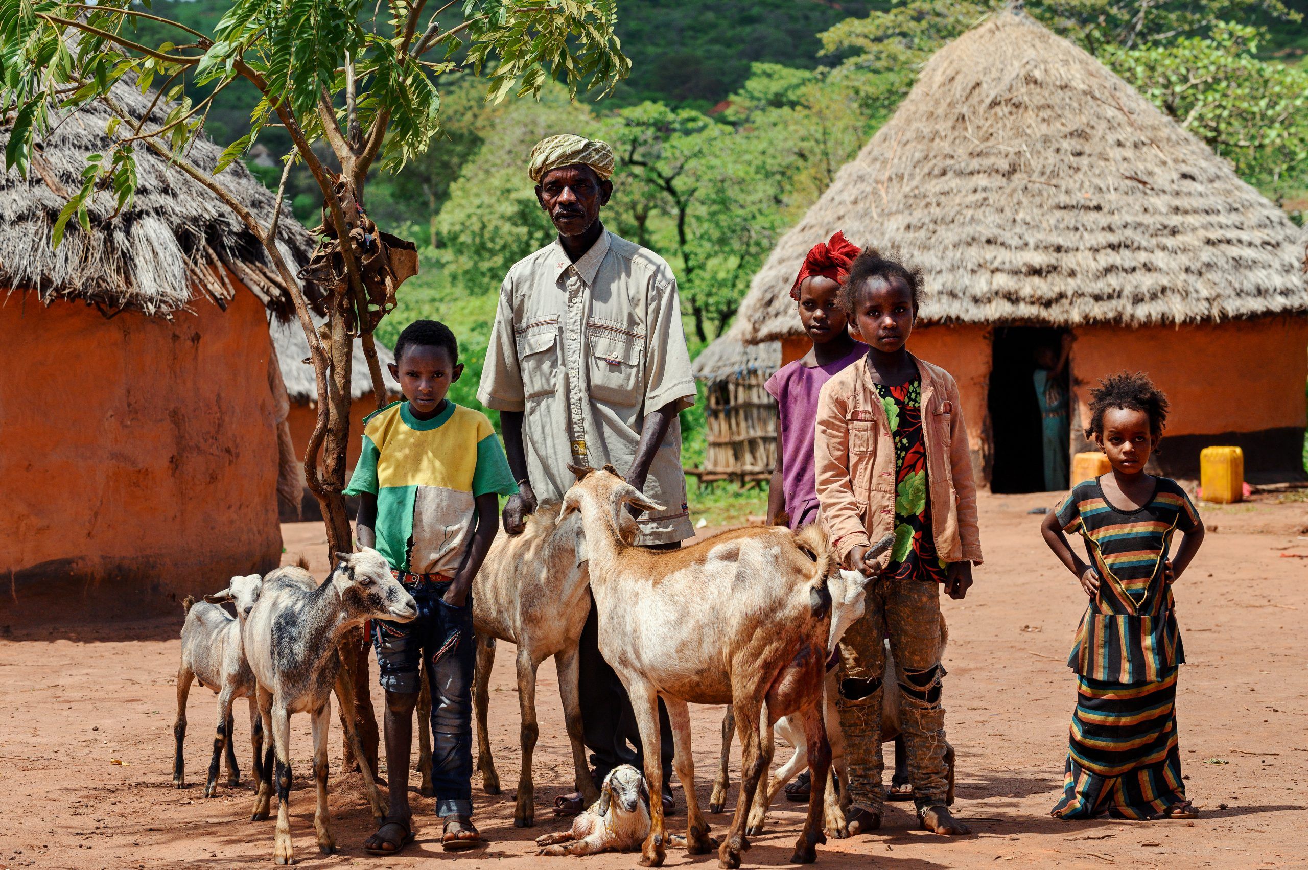 In 2011, Ethiopia experienced its worst drought for 50 years. Millions of livestock perished across the country, many of which were unable to find food or water in the bleached landscape of Borana zone, Ethiopia’s water-stressed southernmost region