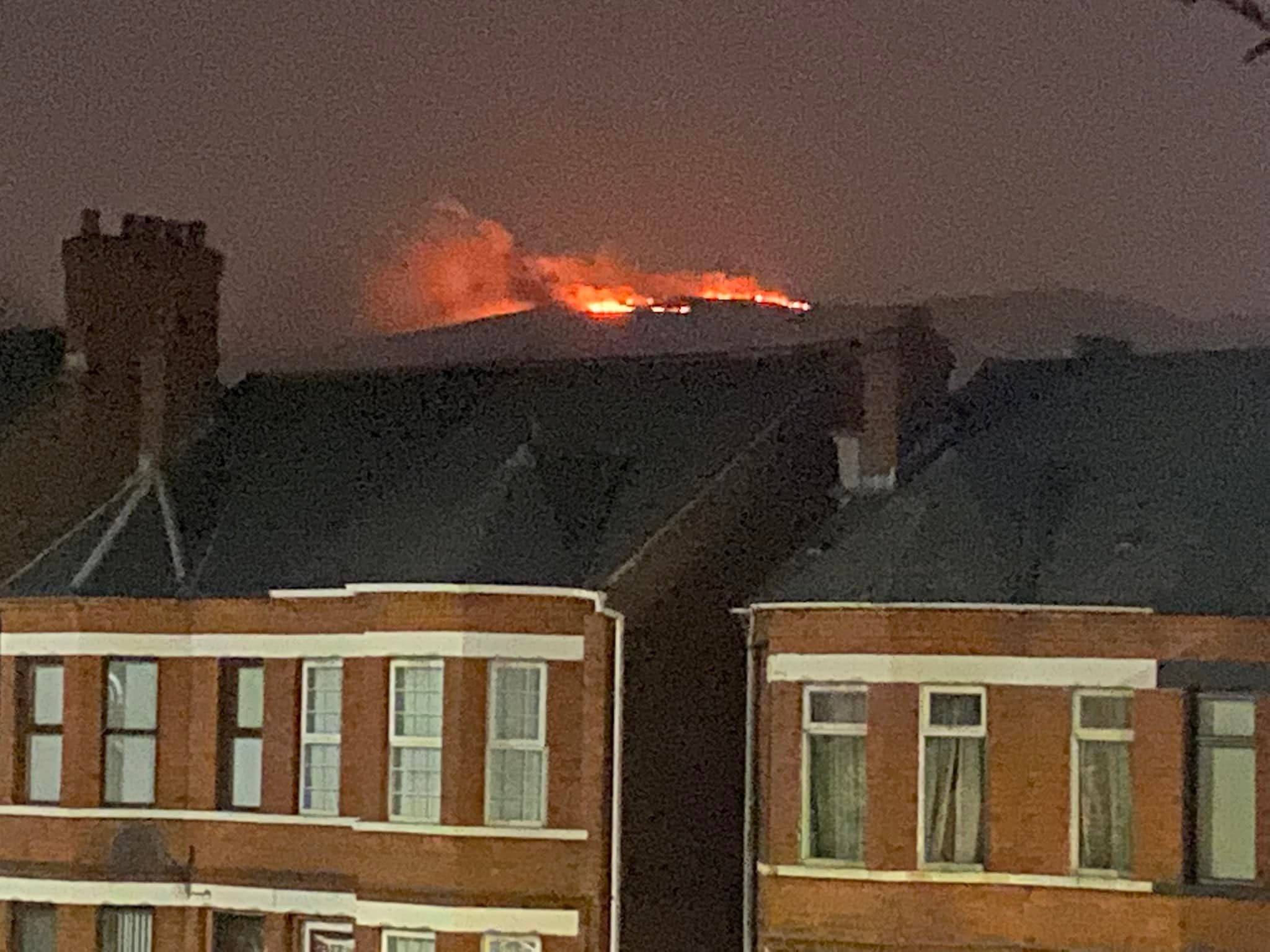 GORSE FIRE: The blaze on Cave Hill on Monday night