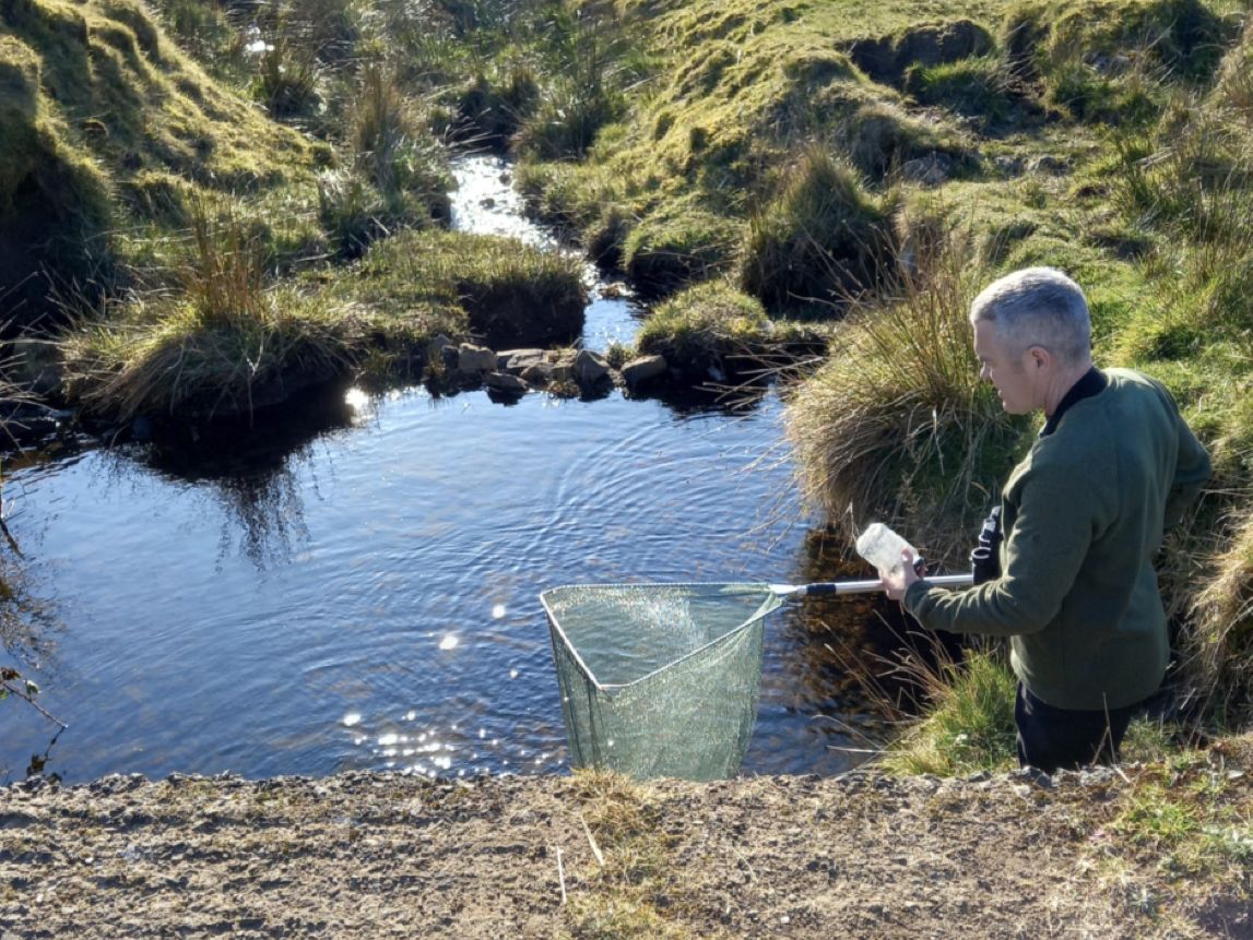 ON THE HUNT: Geordie Hynes checking for newts in a Slievenacloy stream in bright spring sunshine; inset right, a female stonechat in the nest-building season