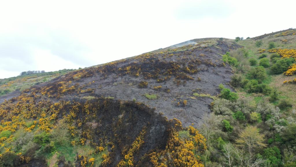 GORSE FIRE: The scorched land on Cave Hill this morning following Wednesday night\'s fire