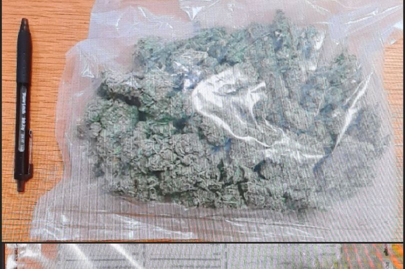 DRUGS FIND: A large quantity of suspected herbal cannabis was seized