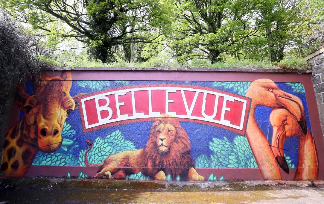ARTWORK: The new mural at the base of the iconic steps at Bellevue.