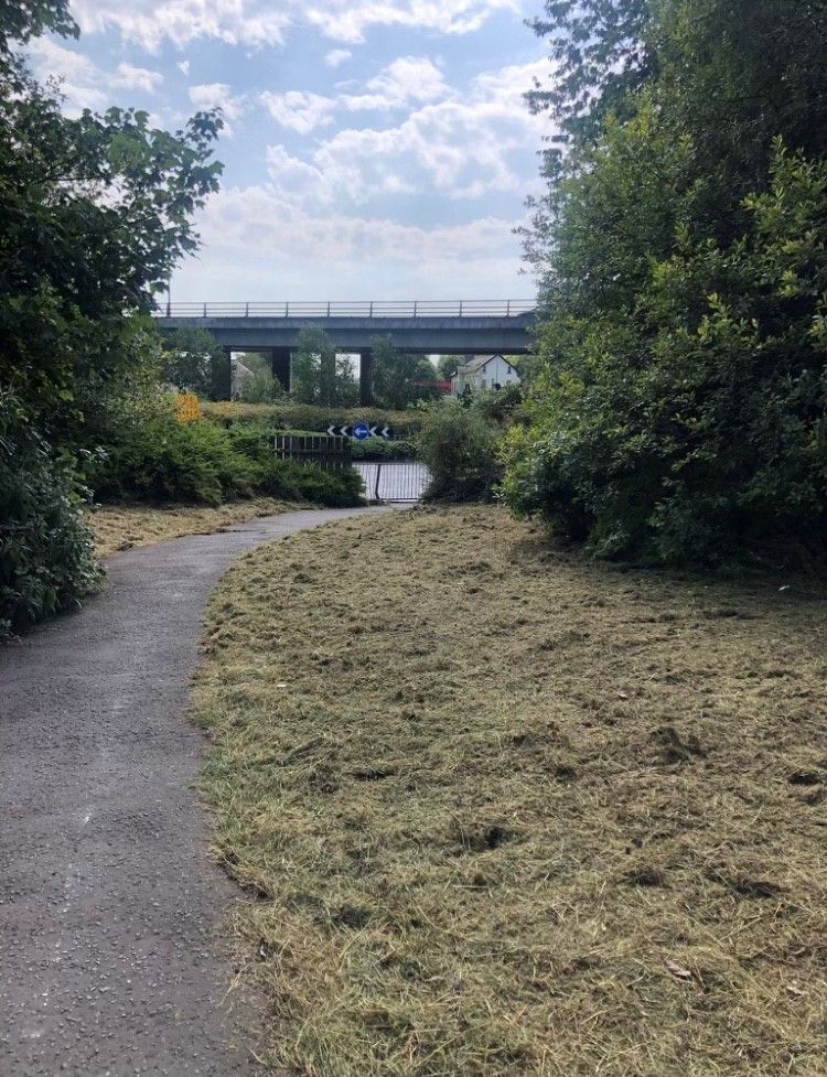 IMPROVEMENT: Stockman\'s Lane has been trimmed and cleared of weeds