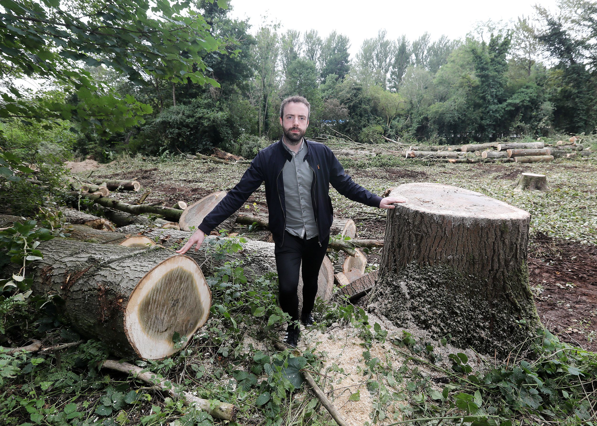 TIMBER: Cllr Anthony Flynn has described the cutting down of trees off Dunmurry Lane as \"environmental vandalism\"