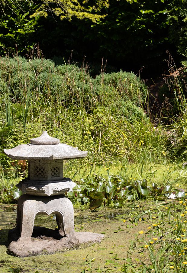 REFUGE: The Japanese Garden in Lady Dixon Park is a place of great peace