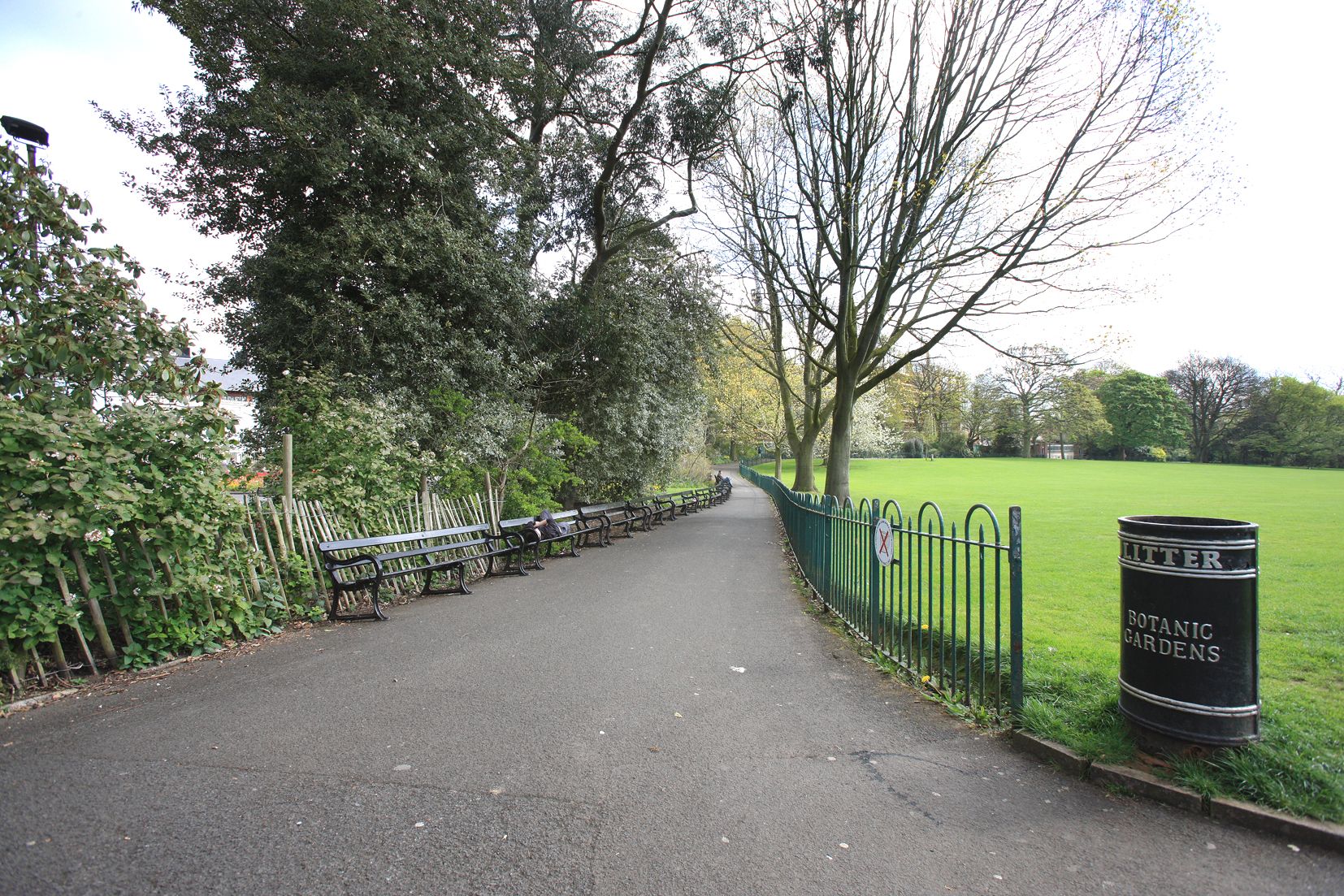 ATTACK: An 18-year-old was stabbed in Botanic Gardens on Monday night