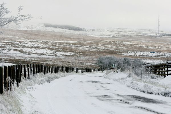 Exclusive extract from upcoming novel by Timothy O'Grady:  'The music rumbled in the ground, pierced and shook in the air'