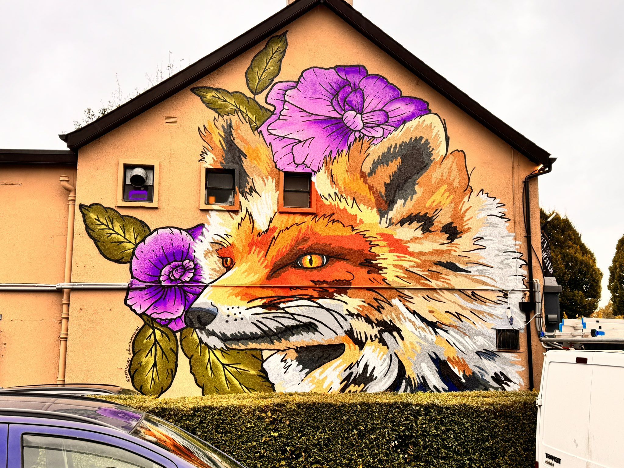 STRIKING: The beautiful fox mural unveiled in Cavehill this week