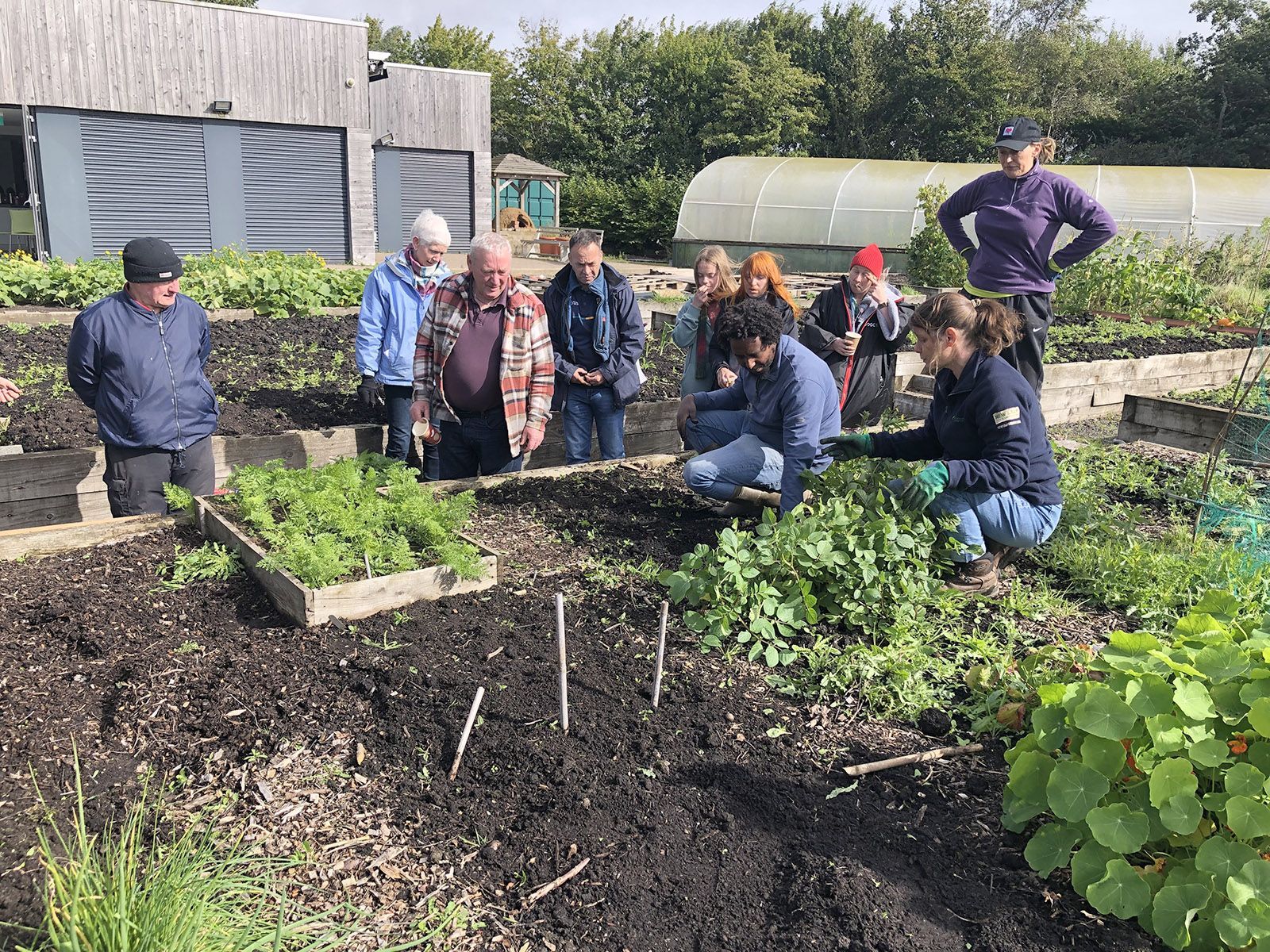 PUTTING DOWN ROOTS: Sharon McMaster working with community groups at the Colin Allotments