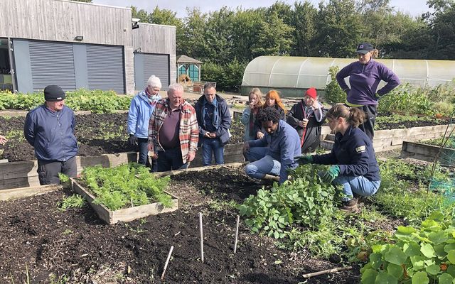 Green projects are coming up roses for local community