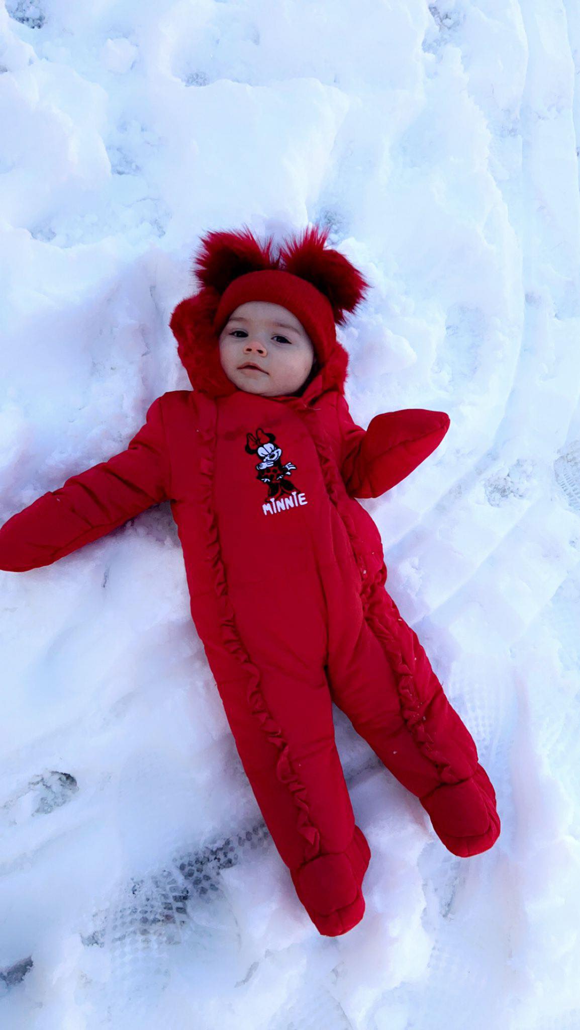 Lillie-Mae in Glengormley chilling in the frosty weather