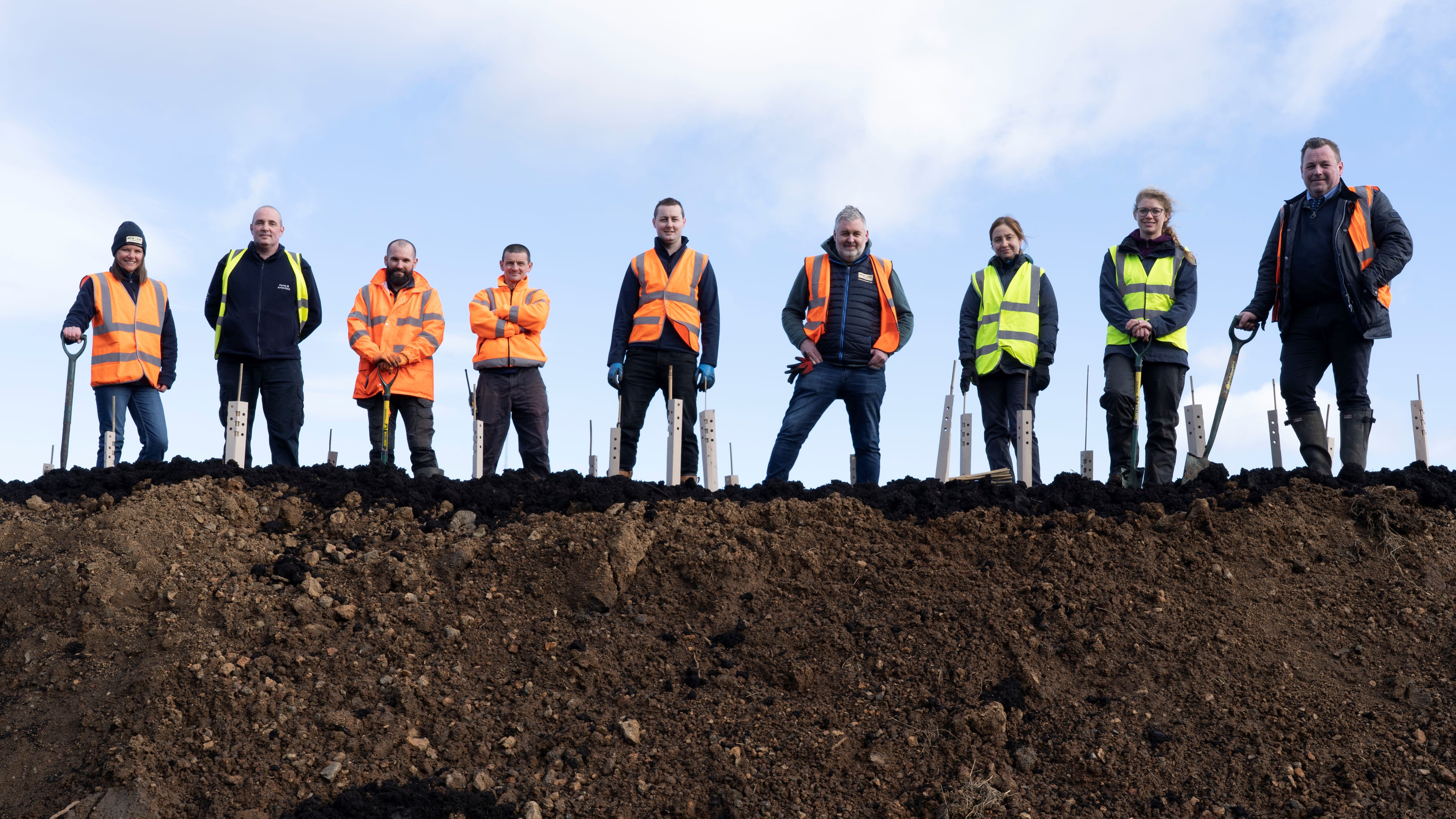FOR THE FUTURE: Planting young saplings on the Belfast Hills