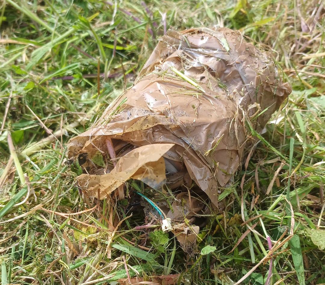 SUSPECT DEVICE: The device was found in the garden of a house in the Rosehead area