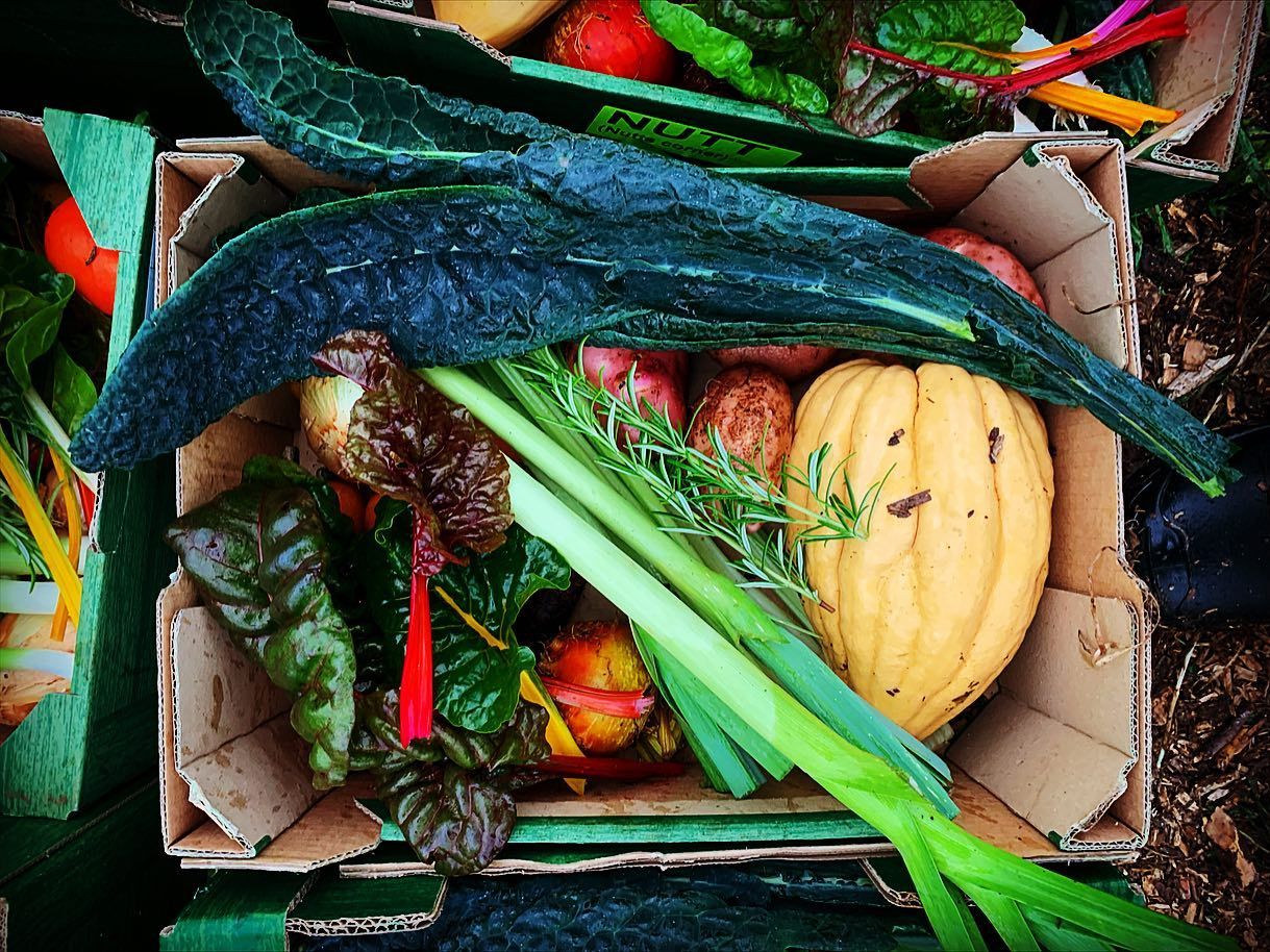 AS NATURE INTENDED: The produce from Roisin and Conor’s city farm is brought to harvest using the purest of horticultural techniques