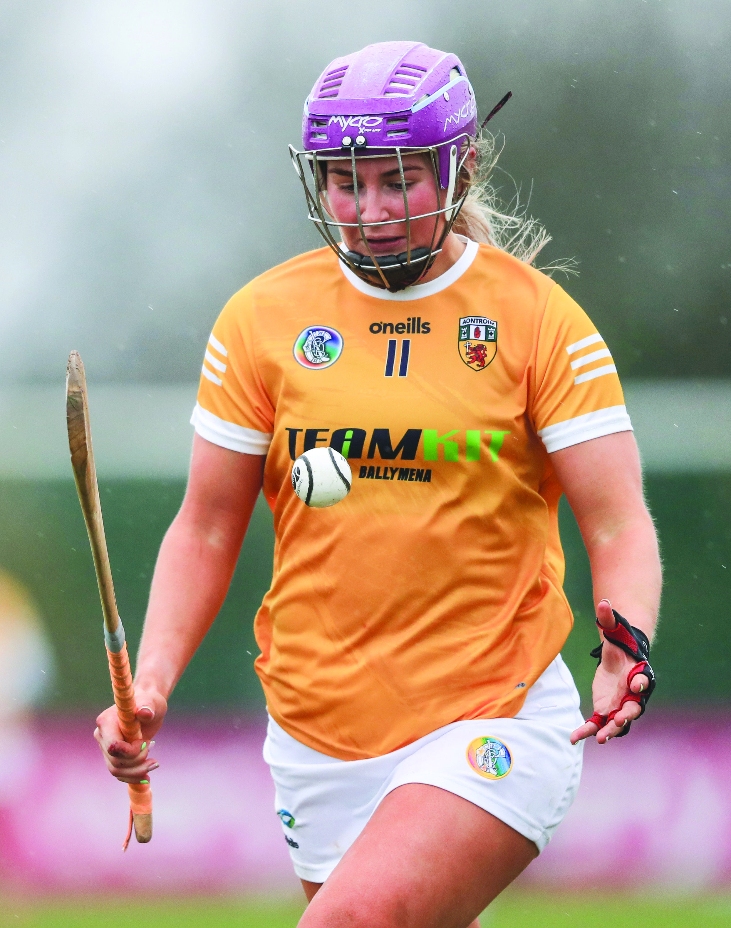 Siobhan McKillop netted the Antrim goal against Limerick