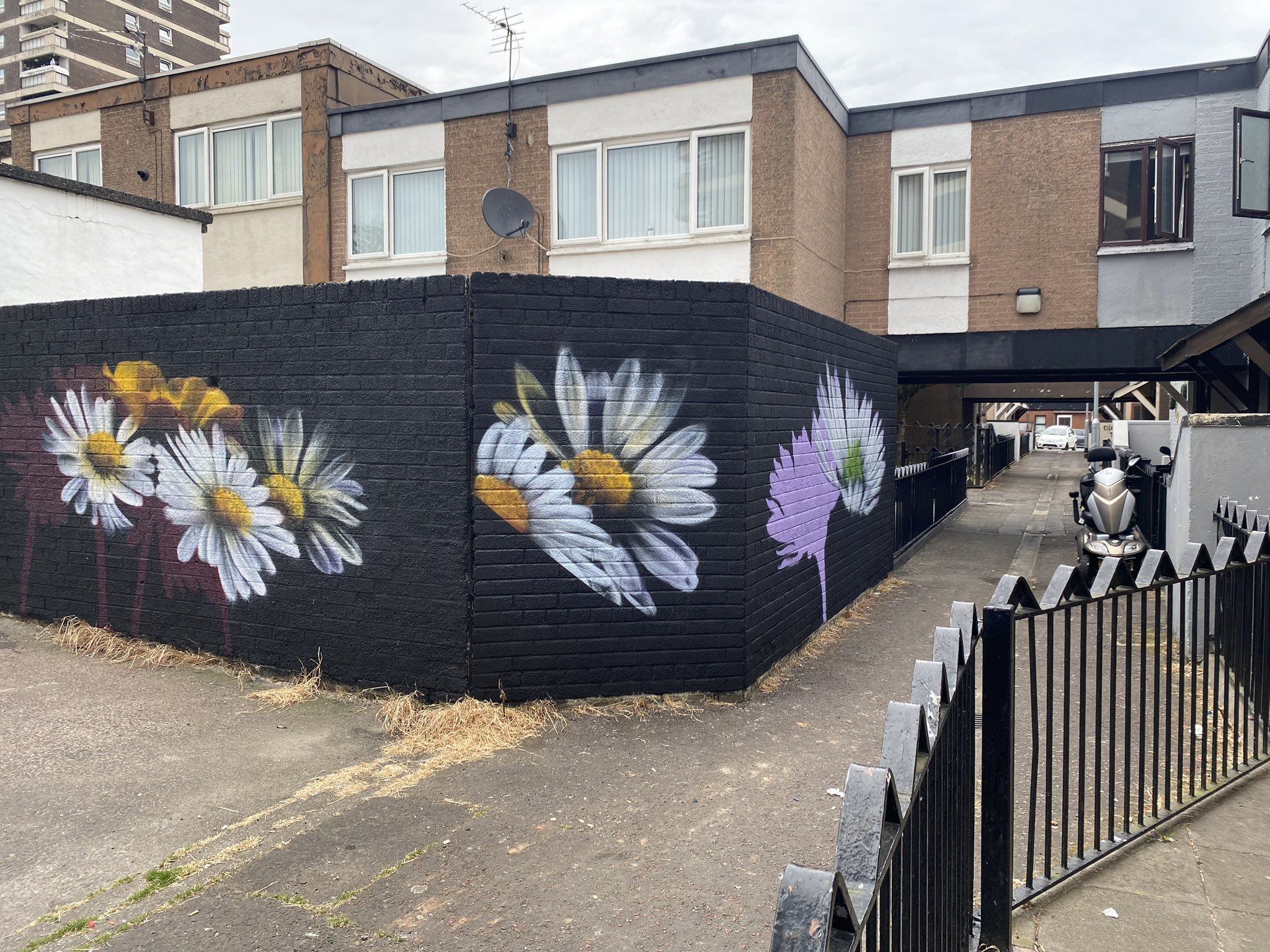 FLORAL: The new mural in the New Lodge