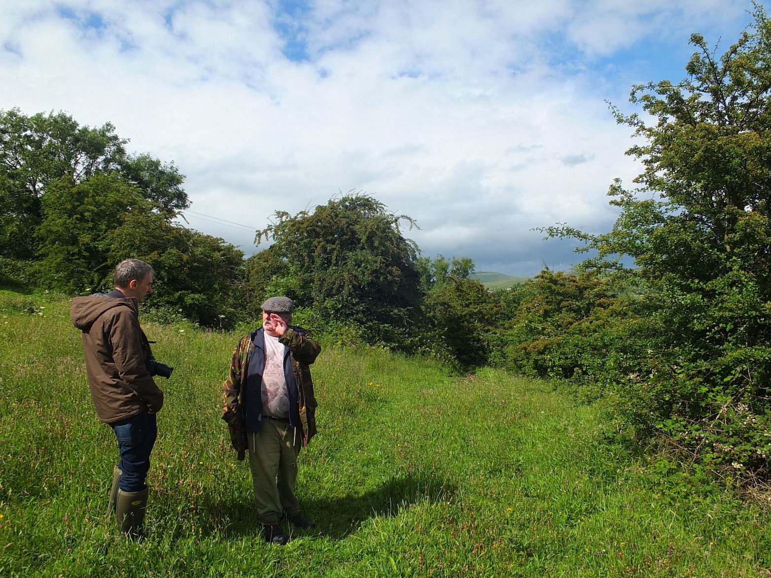 MOUNTAIN TOUR: Tom Doyle with Dúlra in the Colin meadow that he loves so much