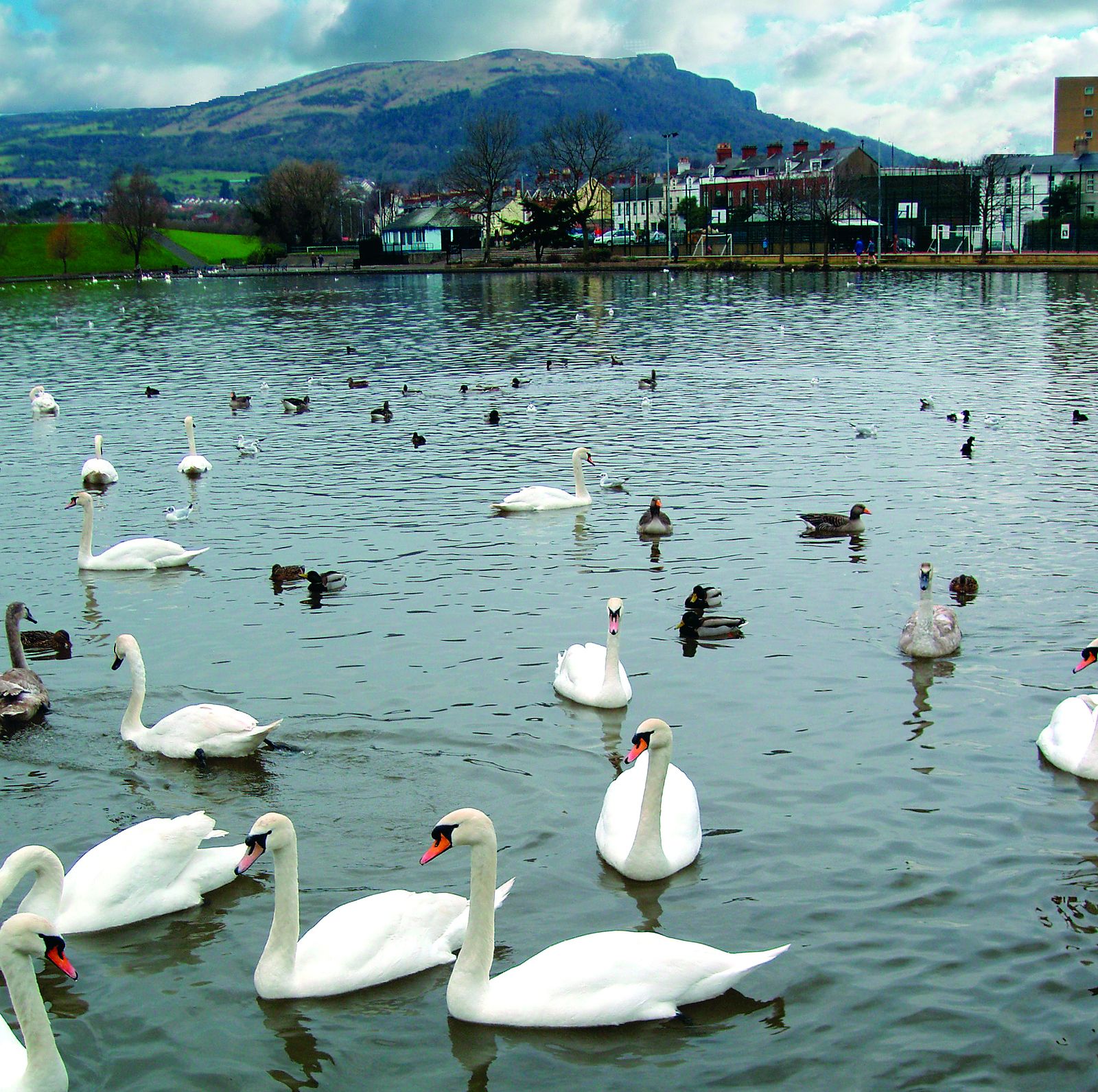 FUTURE PLANS: The Waterworks in North Belfast