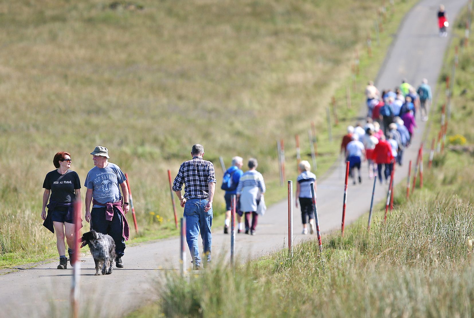 WALK ON THE MOUNTAIN: The free bus will take walkers up to the mountain
