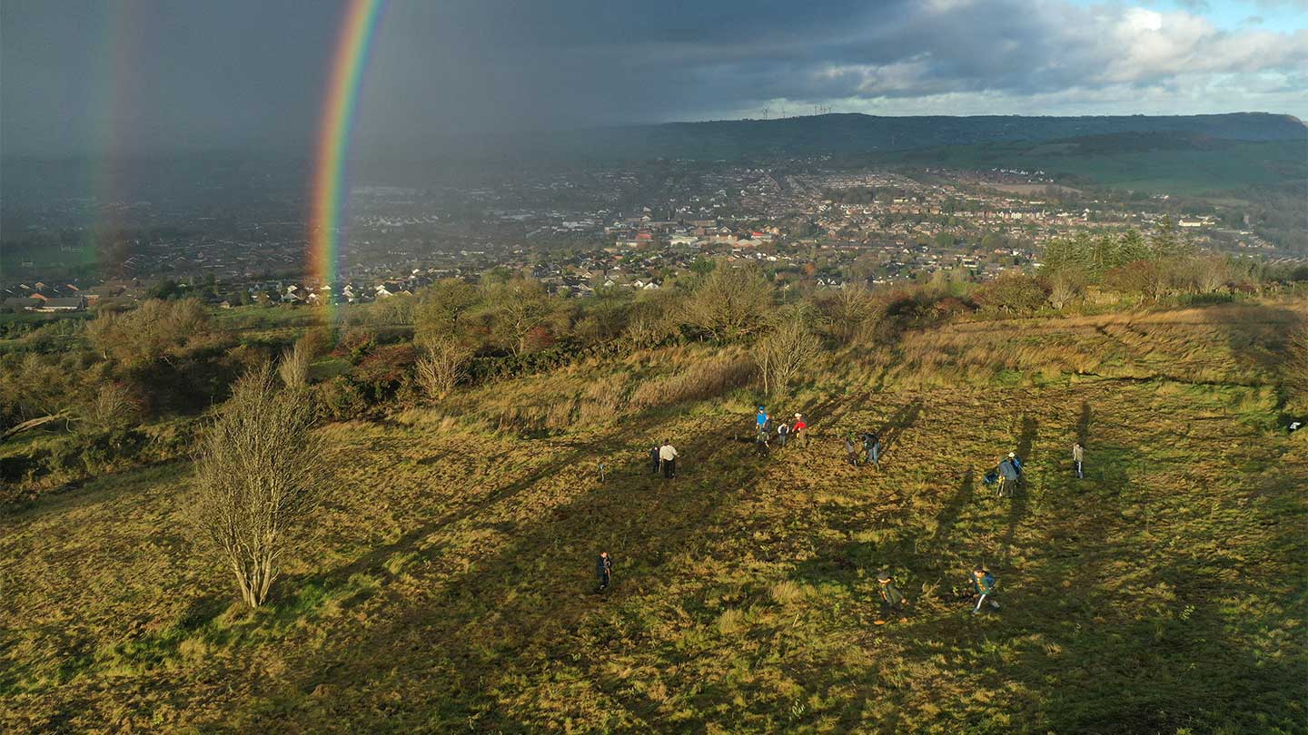 GOOD OMEN: A rainbow gives its seal of approval to Glas-na-Bradan’s saplings
