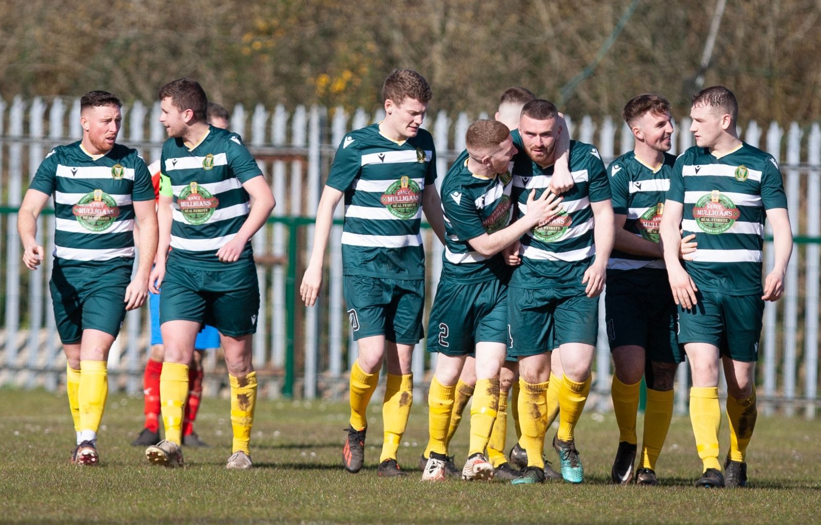 Belfast Celtic host Warrenpoint Town on Saturday 